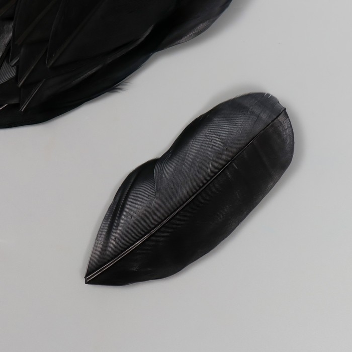 Перо декоративное гусиное Перо декоративное гусиное "Чёрное" в форме листа набор 40 шт h=5-7 см