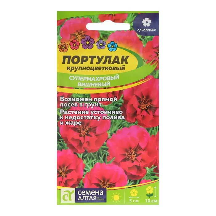 Семена цветов Портулак  Семена цветов Портулак "Супермахровый", вишневый, Сем. Алт, ц/п, 0,1 г