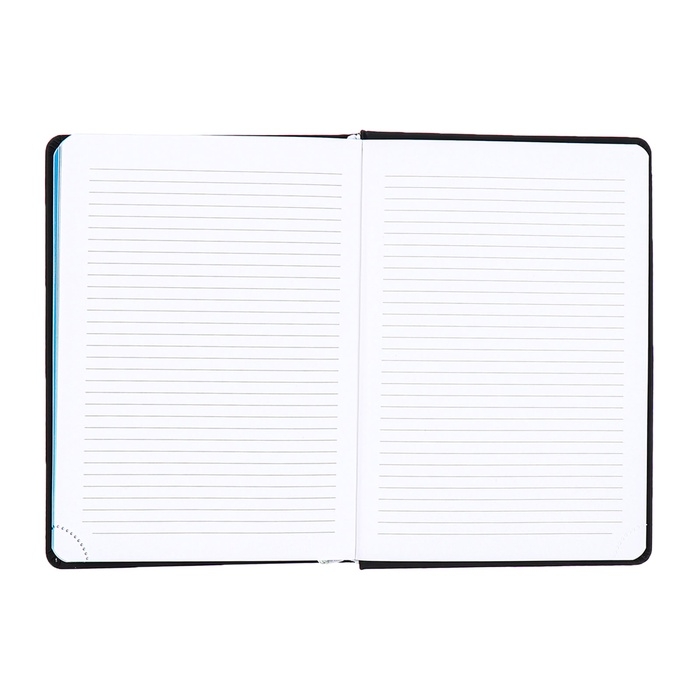 Ежедневник датированный 2025 года, deVENTE. Flag, B5 168 листов, deVENTE. Duo, твердая обложка кожзам с поролоном, шелкография, перфорация, ляссе, блок 70 г/м2 Ежедневник датированный 2025 года, deVENTE. Flag, B5 168 листов, deVENTE. Duo, твердая обложка кожзам с поролоном, шелкография, перфорация, ляссе, блок 70 г/м2