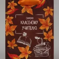 Пакет подарочный ламинированный, упаковка, &laquo;Классному учителю&raquo;, MS 18&times;23&times;10 см