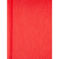 Ежедневник недатированный Attache Rain, А5, 160 л, красный