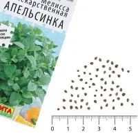 Семена Мелисса лекарственная &laquo;Апельсинка&raquo;, 5 шт., &laquo;Аэлита&raquo;