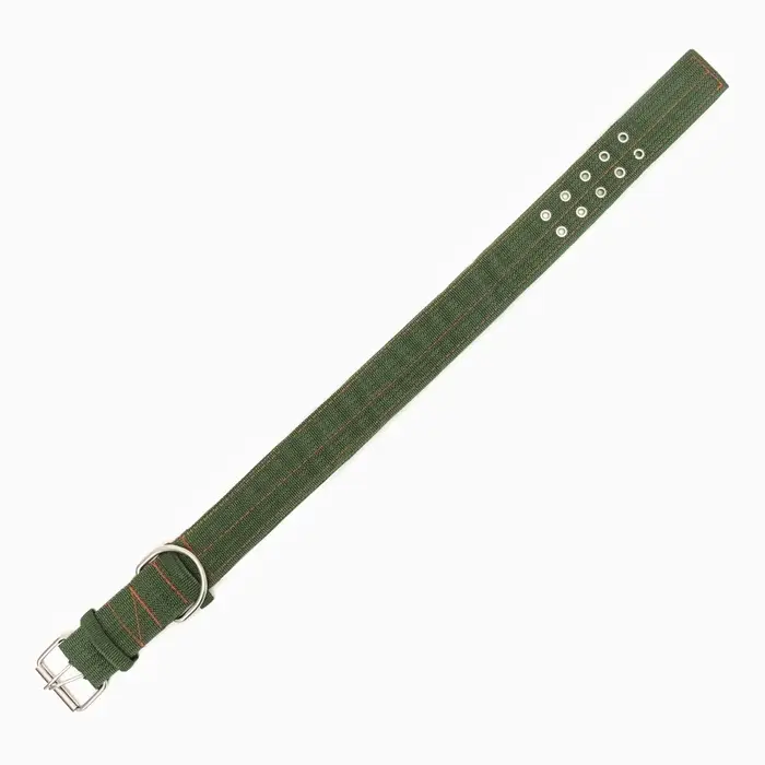 Ошейник четырехслойный, 80&times;4.9 см, ОШ 65-75 см, полиэстер, зелёный