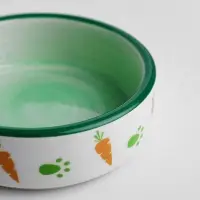 Миска керамическая с морковками 100 мл 8.8&times;8.8&times;3 см, зелёно-белая