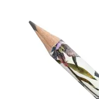 Карандаш чернографитный дизайн BrunoVisconti &laquo;Ирисы&raquo;, HВ