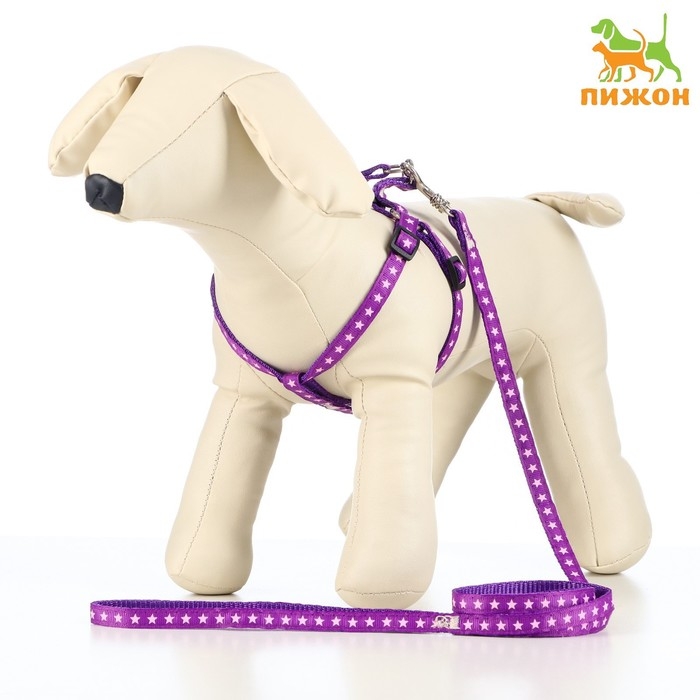 Комплект амуниции Комплект амуниции "Звёзды", ширина 1 см, поводок 120 см, шлейка 26-38 см, фиолетовый