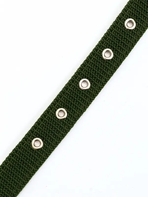 Ошейник двухслойный с вертлюгом, 2.5 см, зелёный