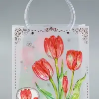 Пакет подарочный прозрачный &laquo;Тюльпаны&raquo;, 22&times;10&times;24 см