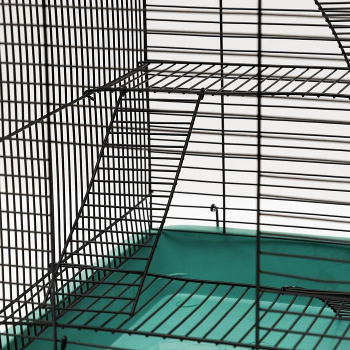 Клетка для грызунов Клетка для грызунов "Пижон" №9, с 3-я этажами, без наполнения, 33 х 24 х 38 см, бирюзовая