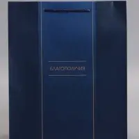 Пакет подарочный "Лаконичный комплимент" ламинированный 26 х 12 х 32 см