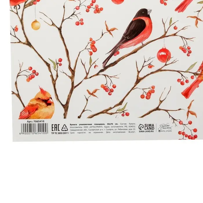 Упаковочная бумага на новый год «Птицы на ветвях», 50 х 70 см, глянцевая