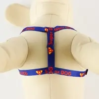 Комплект Super Dog, шлейка 26-39 см, поводок 120х1 см