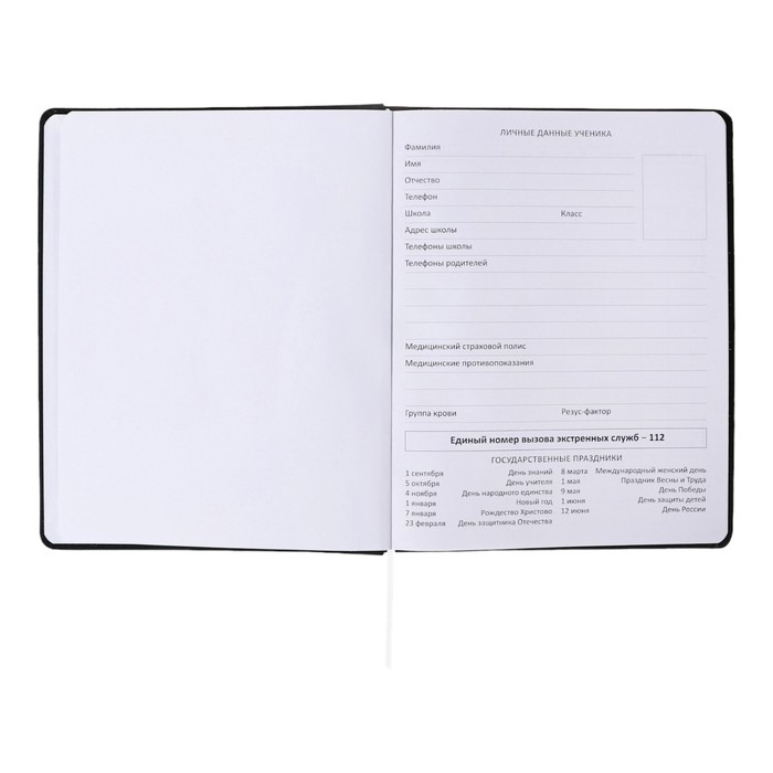 Дневник универсальный для 1-11 класса Modern Concept, твёрдая обложка, искусственная кожа, шелкография, ляссе, 80 г/м2