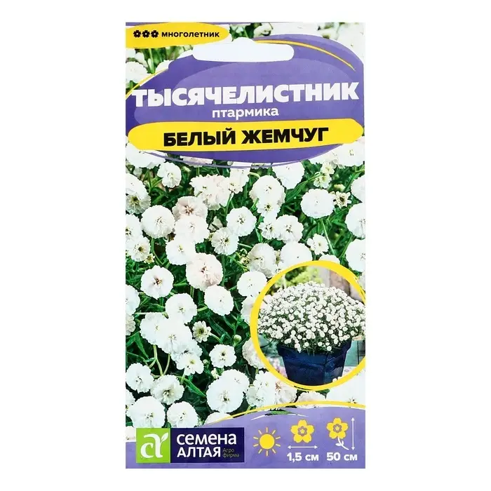 Семена Тысячелистник  Семена Тысячелистник "Белый жемчуг", ц/п,  0,05 гр.