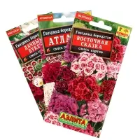 Набор Семена цветов Гвоздика турецкая многолетняя (238758319) ВБ