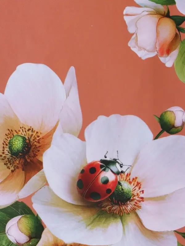 Пакет подарочный ламинированый "Гармония" 11,5 х 14,5 х 6,5 см