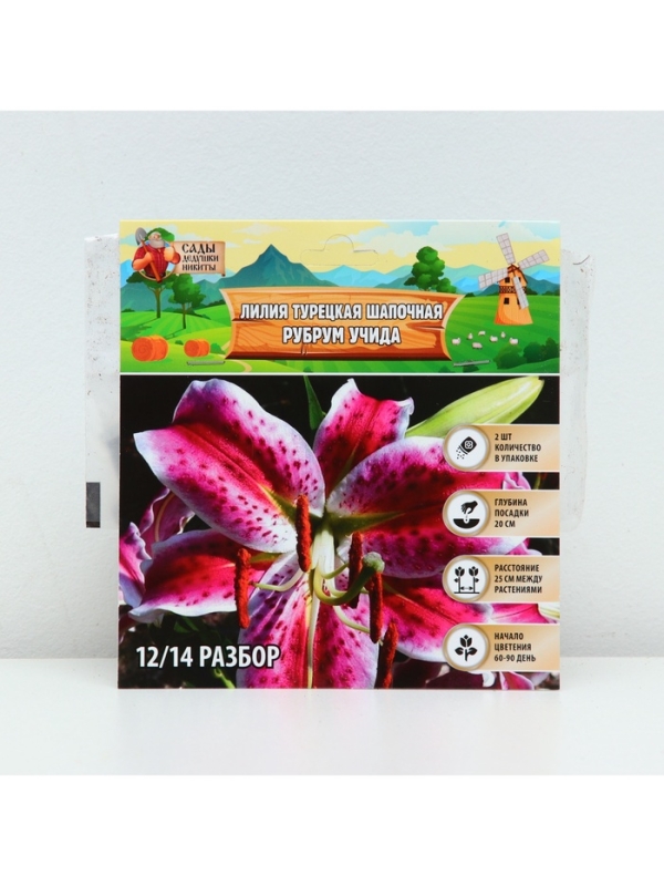 Лилия Турецкая шапочная "Spec.Var. Rubrum Uchida", р-р 12/14, 2 шт.