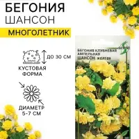 Семена цветов Бегония ампельная &laquo;Шансон&raquo;, клубневая, жёлтая, 10 шт., &laquo;Дом семян&raquo;