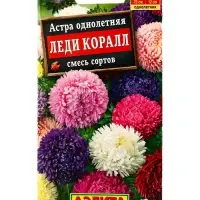 Семена цветов Астра Леди Коралл, смесь сортов , Ц/П,25 шт. Семена цветов Астра Леди Коралл, смесь сортов , Ц/П,25 шт.