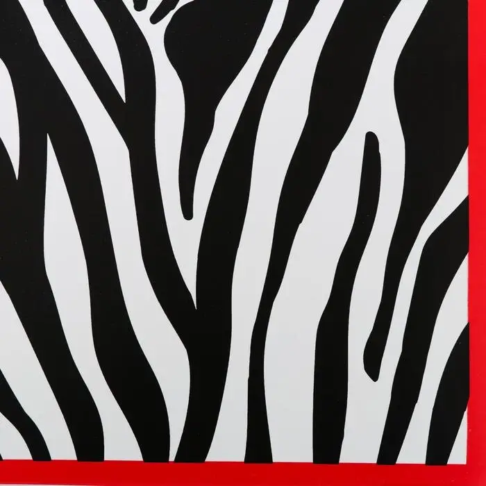 Пленка для цветов двухсторонняя Пленка для цветов двухсторонняя "Зебра" красный, 58×58±5% см