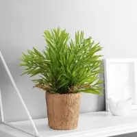 Искусственный цветок в горшке &laquo;Хамедорея экстра&raquo;, 8&times;24 см, МИКС