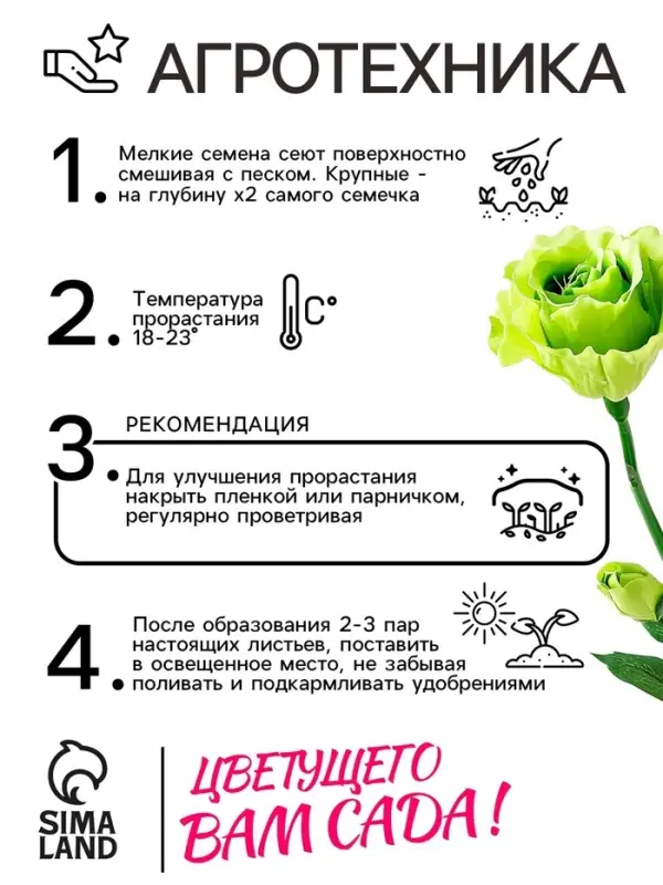 Семена цветов Лизиантус F1 &laquo;Эйбиси&raquo;, зеленая, 5 шт., &laquo;Дом семян&raquo;