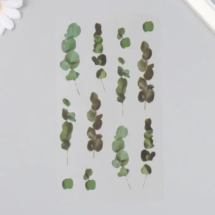 Наклейки для творчества пластик "Эвкалипт" 21х10,5 см