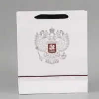 Пакет подарочный &laquo;Россия&raquo;, 25.5&times;30&times;9 см