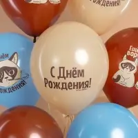 Воздушные шары латексные 12" &laquo;С Днем Рождения! (Сердитая кошка)&raquo;, МИКС, набор 25 шт.