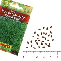 Семена Укроп "Вологодские кружева" "Лидер", 1 г   ,