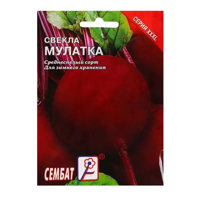 Семена Свекла &laquo;Мулатка&raquo;, XXXL, &laquo;Сембат&raquo;, 10 г