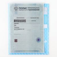 Папка для медицинского полиса "Мишка" для мальчика, 17,5 х 11,3 см