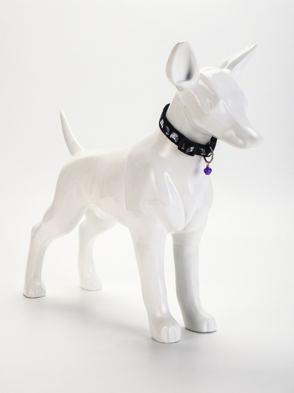 Ошейник Ошейник "Котята", 40 х 1,5 см, черный