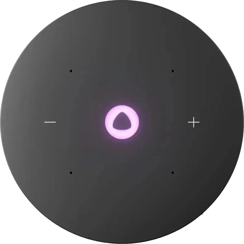 Умная колонка Яндекс Станция Мини 3 Про, Zigbee, серый (YNDX-00059GRY)