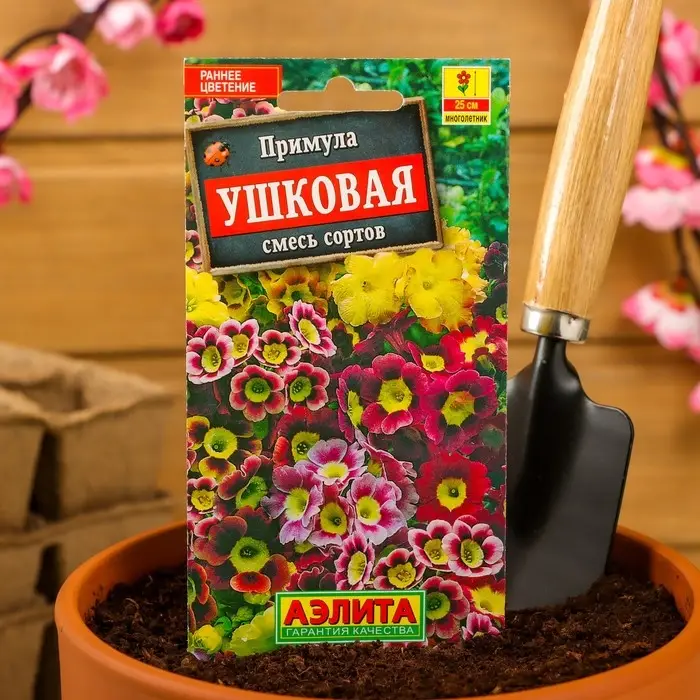 Семена цветов Примула "Ушковая", смесь окрасок, Мн, 0,02 г