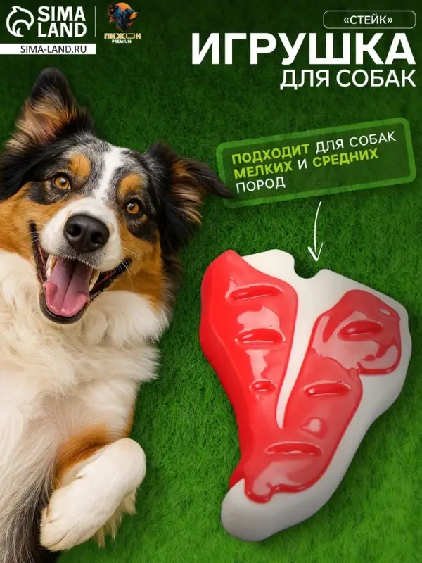 Игрушка для собак Пижон Premium &laquo;Стейк&raquo;, 10.5 см, TPR + нейлон, цвет МИКС