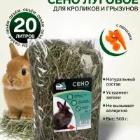 Сено с овощами &laquo;Пижон&raquo; для грызунов, 20 л, 500 г