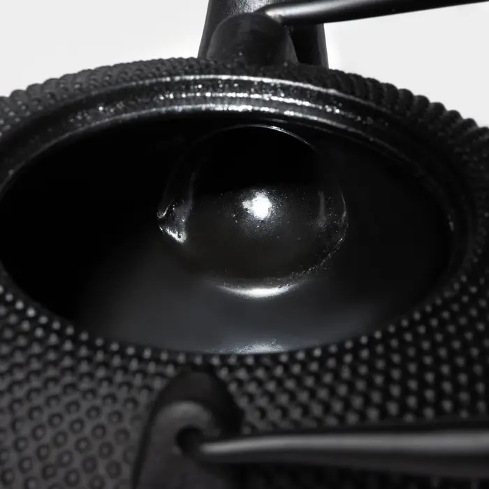 Чайник Доляна &laquo;Восточная ночь&raquo;, 1.6 л, с ситом, индукция, чугун, чёрный