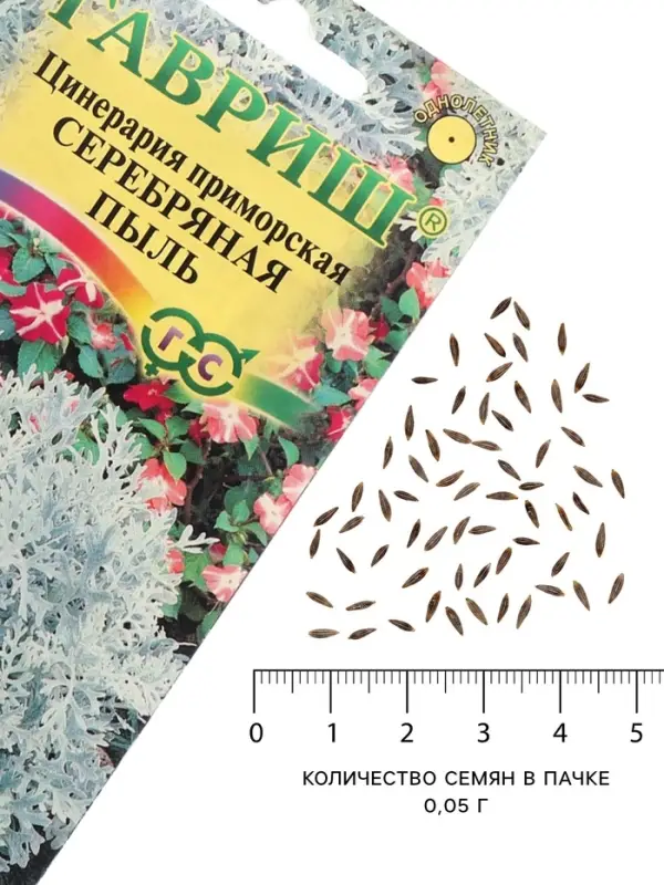 Семена цветов Цинерария приморская "Серебряная пыль", ц/п, 0,05 г