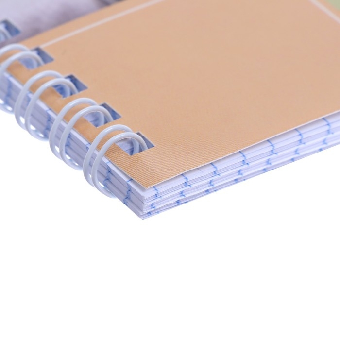 Тетрадь 48 листов в клетку на гребне Тетрадь 48 листов в клетку на гребне "Профессионалы", обложка мелованный картон, блок офсет 65г/м2, МИКС