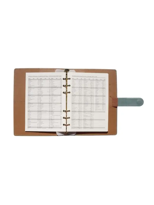 Органайзер на кольцах, C6, с хлястиком, 80л, линия, к/зам, Зеленый Органайзер на кольцах, C6, с хлястиком, 80л, линия, к/зам, Зеленый