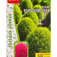 Семена цветов Кохия Волосолистная ВП 300шт.  12.29 г.