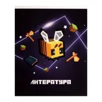 Предметная тетрадь по литературе Calligrata &laquo;Пиксели&raquo;, 36 листов, в линейку, со справочным материалом, обложка из мелованного картона