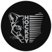 Шайба хоккейная Winter Star, взрослая, d=7.6 см