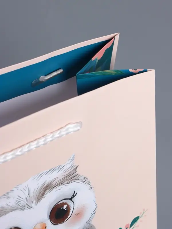 Пакет подарочный "Мудрая совушка" ламинированный 18 х 22,3 х 10 см