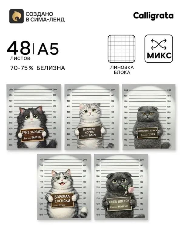Тетрадь 48 листов в клетку Calligrata &laquo;Коты хулиганы&raquo;, блок №2, серые листы, обложка МИКС