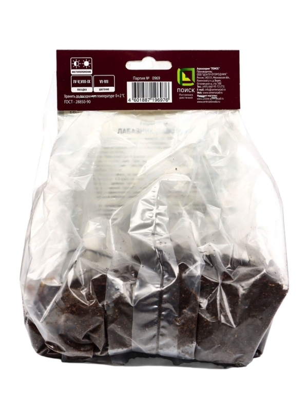 Лабазник вязолистный Вариегата, р-р I, 1 шт, Весна 2025