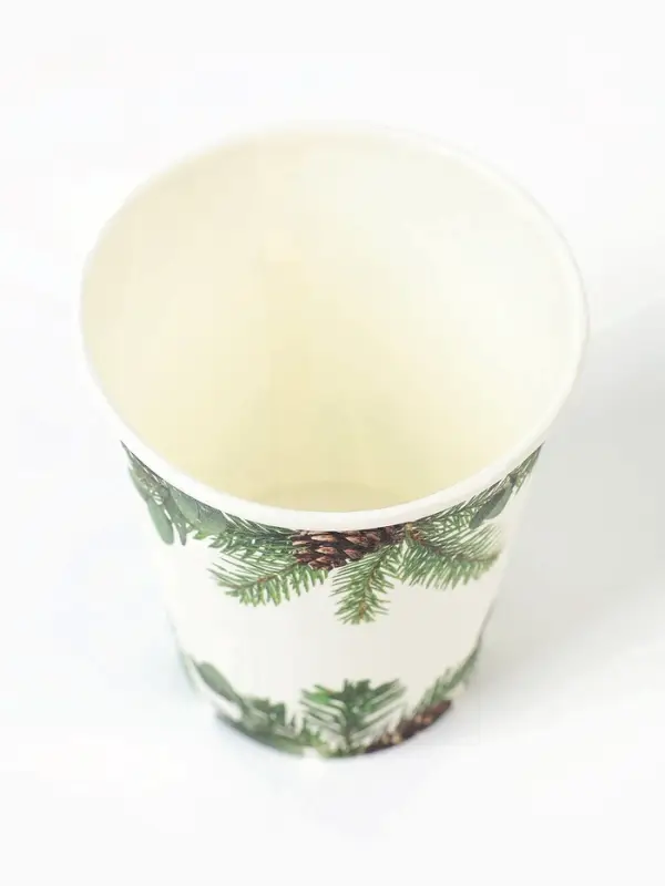 Набор бумажной посуды «С Новым годом», еловые ветки, 12 персон Набор бумажной посуды «С Новым годом», еловые ветки, 12 персон