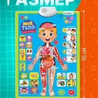 Обучающий плакат &laquo;Изучаем анатомию: Моё тело&raquo;