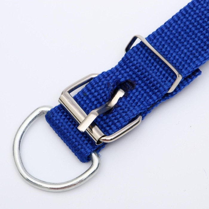 Ошейник для животных Ошейник для животных